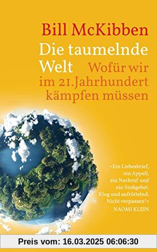 Die taumelnde Welt: Wofür wir im 21. Jahrhundert kämpfen müssen