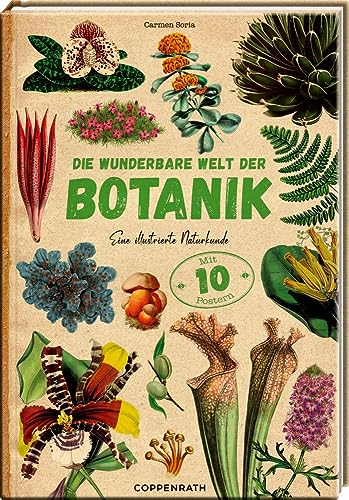 Die wunderbare Welt der Botanik: Eine illustrierte Naturkunde von Coppenrath