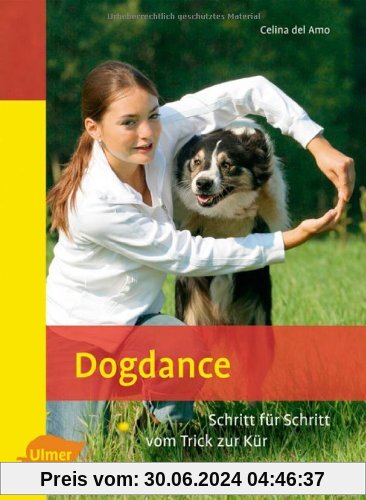 Dogdance: Schritt für Schritt vom Trick zur Kür. Heimtiere