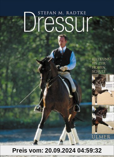 Dressur: Klassische Reitkunst bis zur Hohen Schule