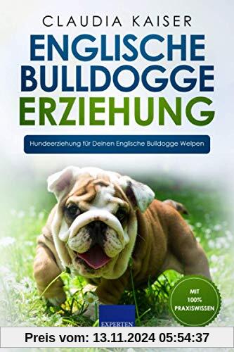 Englische Bulldogge Erziehung: Hundeerziehung für Deinen Englische Bulldogge Welpen