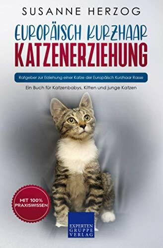 Europäisch Kurzhaar Katzenerziehung - Ratgeber zur Erziehung einer Katze der Europäisch Kurzha...