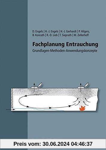 Fachplanung Entrauchung.: Grundlagen - Methoden - Anwendungskonzepte.