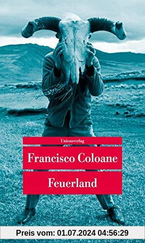 Feuerland: Erzählungen (Unionsverlag Taschenbücher)