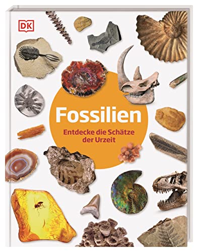 Fossilien: Entdecke die Schätze der Urzeit