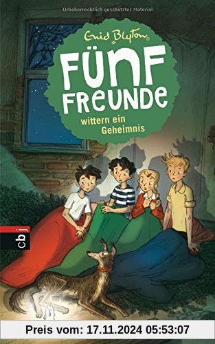 Fünf Freunde wittern ein Geheimnis (Einzelbände, Band 15)