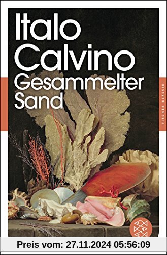 Gesammelter Sand: Essays (Fischer Klassik)