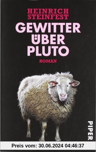 Gewitter über Pluto: Roman