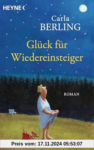 Glück für Wiedereinsteiger: Roman