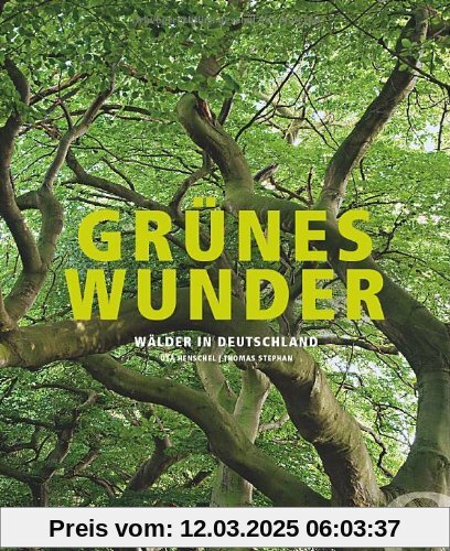 Grünes Wunder: Wälder in Deutschland