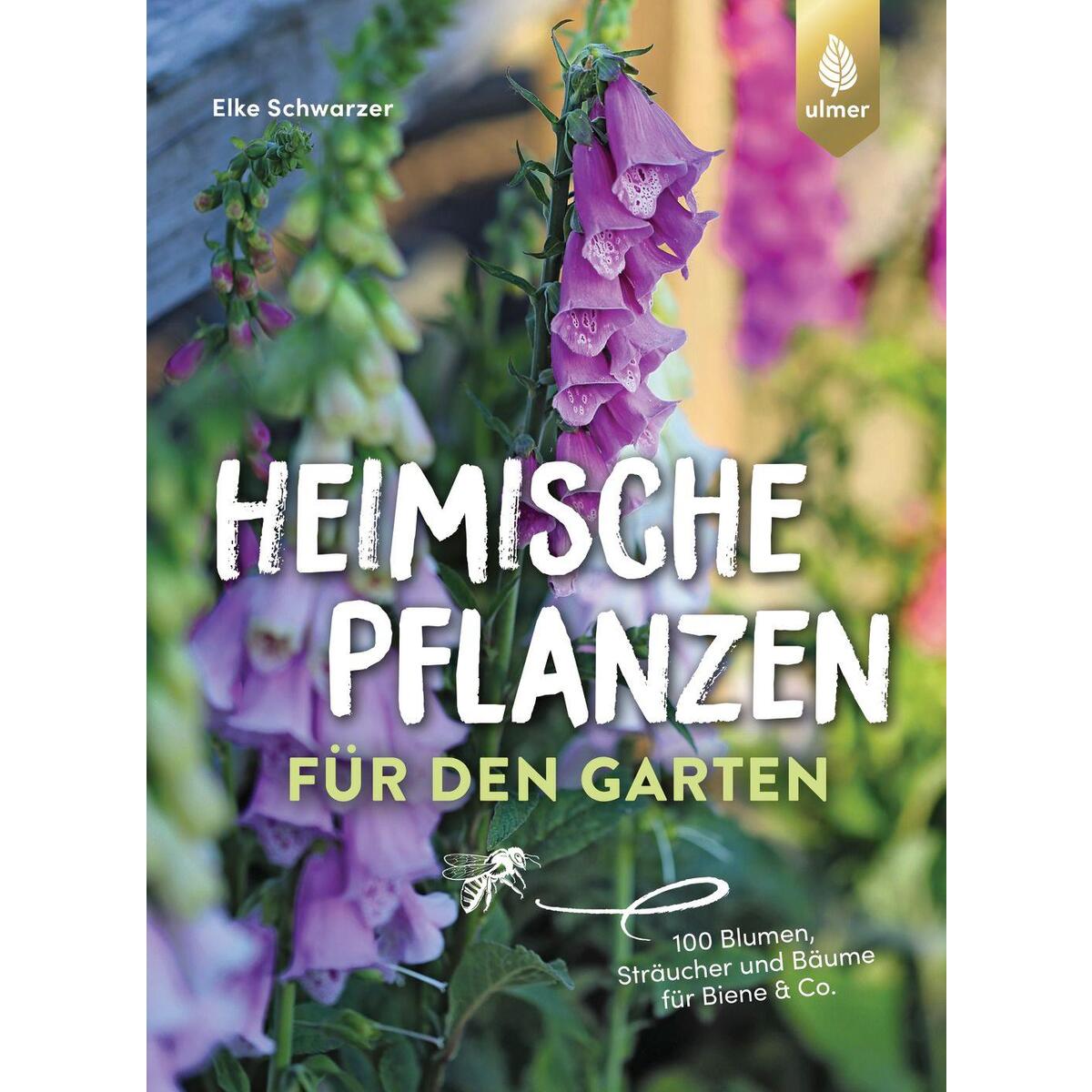 Heimische Pflanzen für den Garten von Ulmer Eugen Verlag