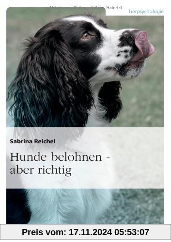 Hunde belohnen - aber richtig