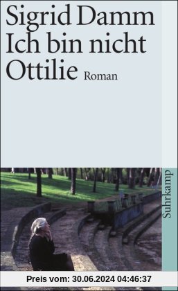 Ich bin nicht Ottilie: Roman