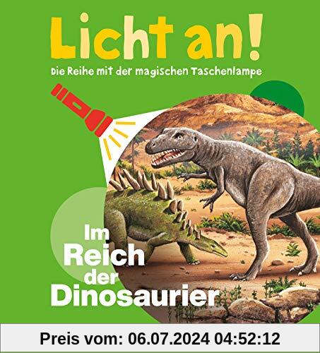 Im Reich der Dinosaurier: Licht an! (Licht an! Die Reihe mit der magischen Taschenlampe)