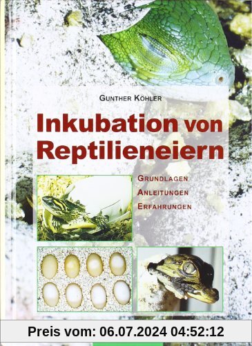 Inkubation von Reptilieneiern: Grundlagen - Anleitungen - Erfahrungen