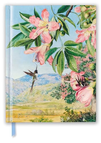 Kew Gardens: Foliage and Flowers by Marianne North (Blank Sketch Book) (Luxury Sketch Books): Unser hochwertiges Blankbook mit festem, künstlerisch ... Format 28 cm x 21,6 cm (Premium Skizzenbuch)