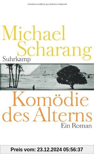 Komödie des Alterns: Ein Roman