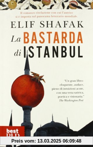 La bastarda di Istanbul