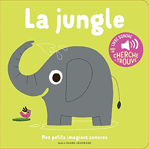 La jungle: 5 sons à écouter, 5 matières à toucher