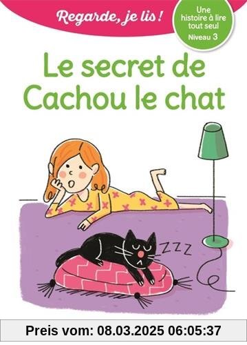 Le secret de Cachou le chat : Niveau 3