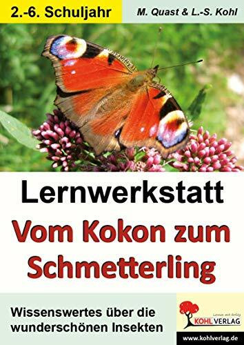 Lernwerkstatt Vom Kokon zum Schmetterling: Informationen - Kurztexte - Aufgaben - Sinnerfassen...