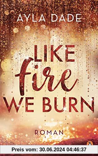 Like Fire We Burn: Roman (Die Winter-Dreams-Reihe, Band 2)
