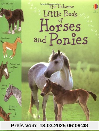 Little Book of Horses and Ponies (Usborne Little Books)