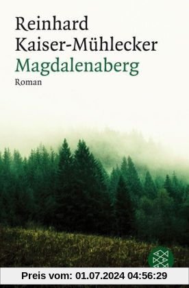 Magdalenaberg: Roman