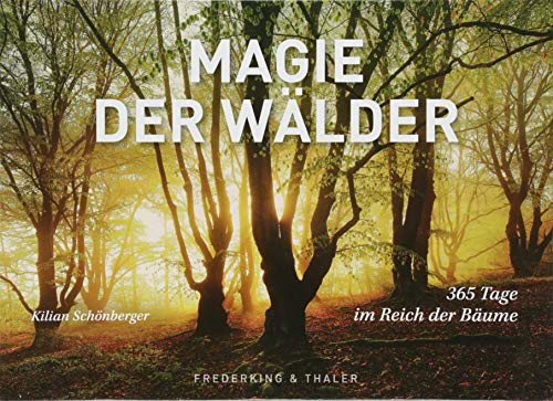 Tischaufsteller Magie der Wälder: 365 Tage im Reich der Bäume von Frederking & Thaler