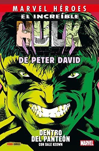Marvel héroes 112 el increíble hulk de peter davis 3. dentro del panteón von Panini Comics