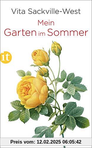 Mein Garten im Sommer (insel taschenbuch)