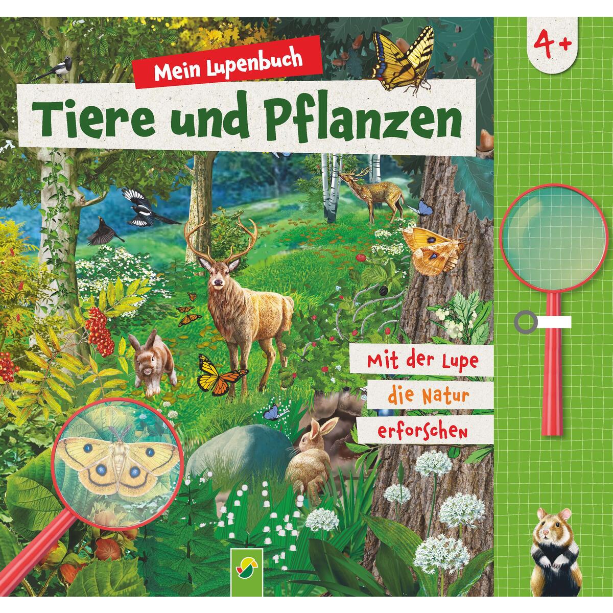 Mein Lupenbuch Tiere und Pflanzen von Schwager und Steinlein