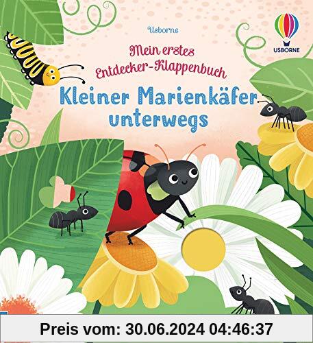 Mein erstes Entdecker-Klappenbuch: Kleiner Marienkäfer unterwegs: ab 10 Monaten