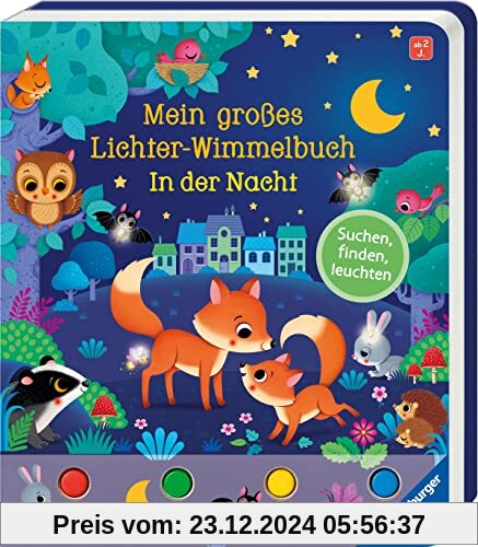 Mein großes Lichter-Wimmelbuch: In der Nacht: Suchen, finden, leuchten