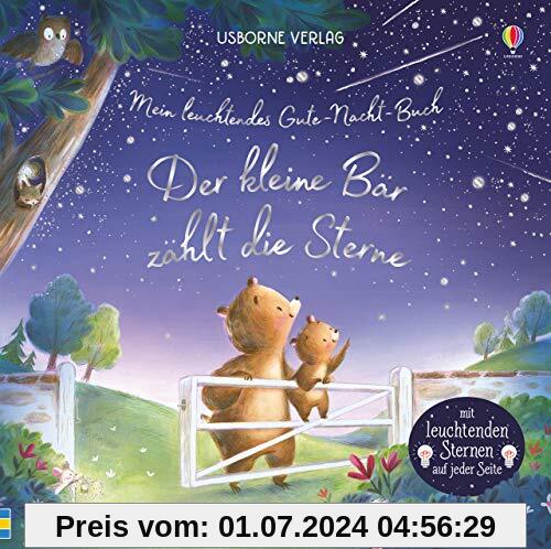 Mein leuchtendes Gute-Nacht-Buch: Der kleine Bär zählt die Sterne: ab 6 Monaten