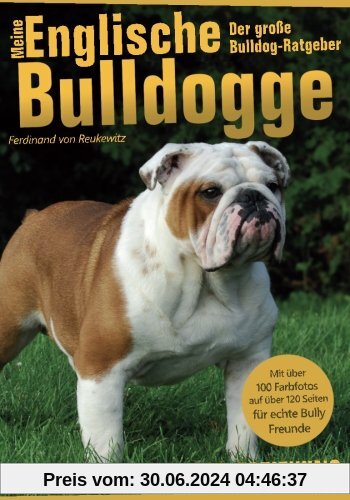 Meine Englische Bulldogge - Der Bully Ratgeber