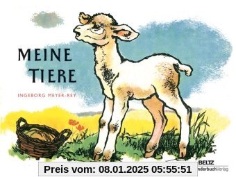 Meine Tiere: Vierfarbiges Pappbilderbuch