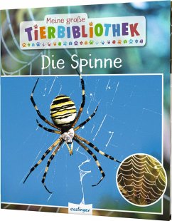 Die Spinne / Meine große Tierbibliothek Bd.24 von Esslinger in der Thienemann-Esslinger Verlag GmbH