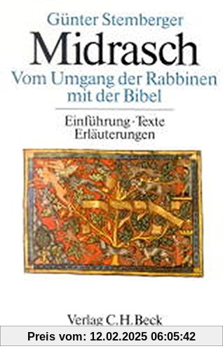 Midrasch Vom Umgang der Rabbiner mit der Bibel. Einführungen, Texte, Erläuterungen