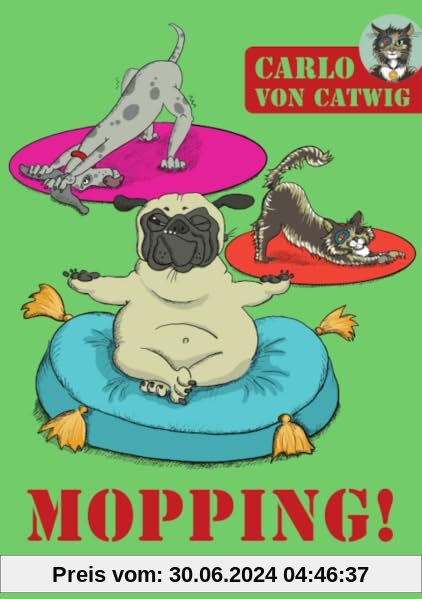 Mopping!: Carlo von Catwig