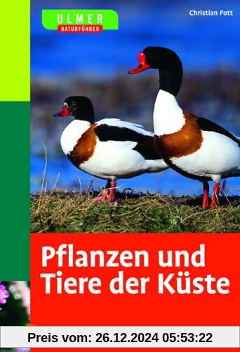 Pflanzen und Tiere der Küste