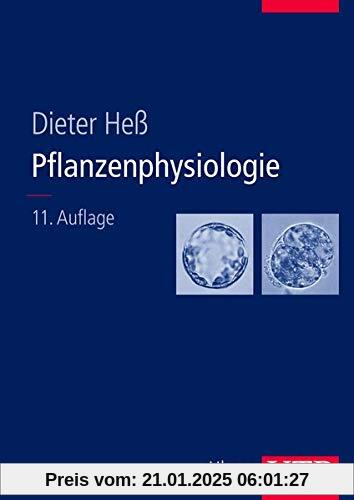 Pflanzenphysiologie: Grundlagen der Physiologie und Biotechnologie der Pflanzen