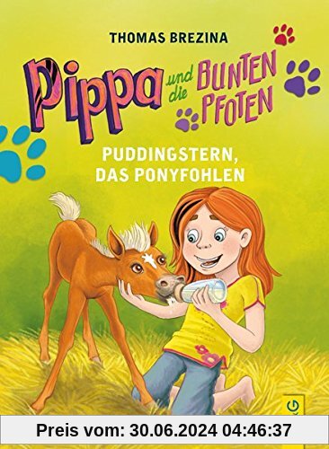 Pippa und die Bunten Pfoten - Puddingstern, das Ponyfohlen