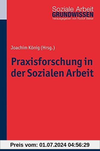 Praxisforschung in der Sozialen Arbeit: Ein Lehr- und Arbeitsbuch (Grundwissen Soziale Arbeit; Bd. 18)