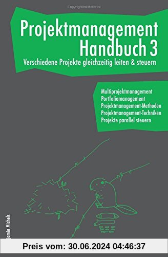 Projektmanagement Handbuch 3 - Verschiedene Projekte gleichzeitig leiten & steuern. Multiprojektmanagement. Portfoliomanagement. Projekte parallel steuern.