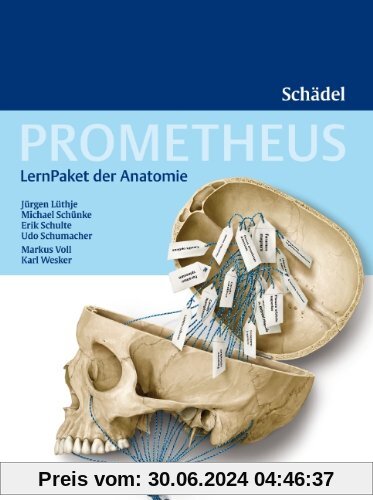 Prometheus LernPaket der Anatomie: Schädel