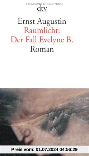 Raumlicht: Der Fall Evelyne B.: Roman