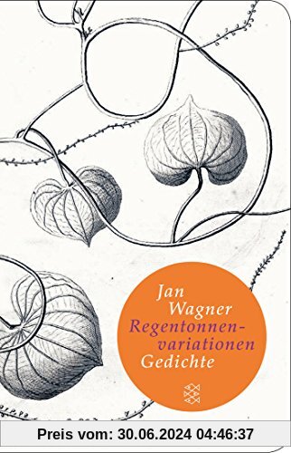 Regentonnenvariationen: Gedichte (Fischer Taschenbibliothek)
