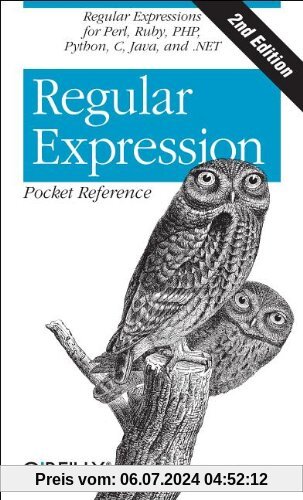 Regular Expression Pocket Reference (Pocket Reference (O'Reilly))