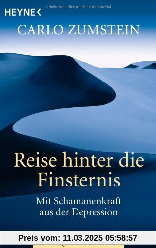 Reise hinter die Finsternis: Mit Schamanenkraft aus der Depression